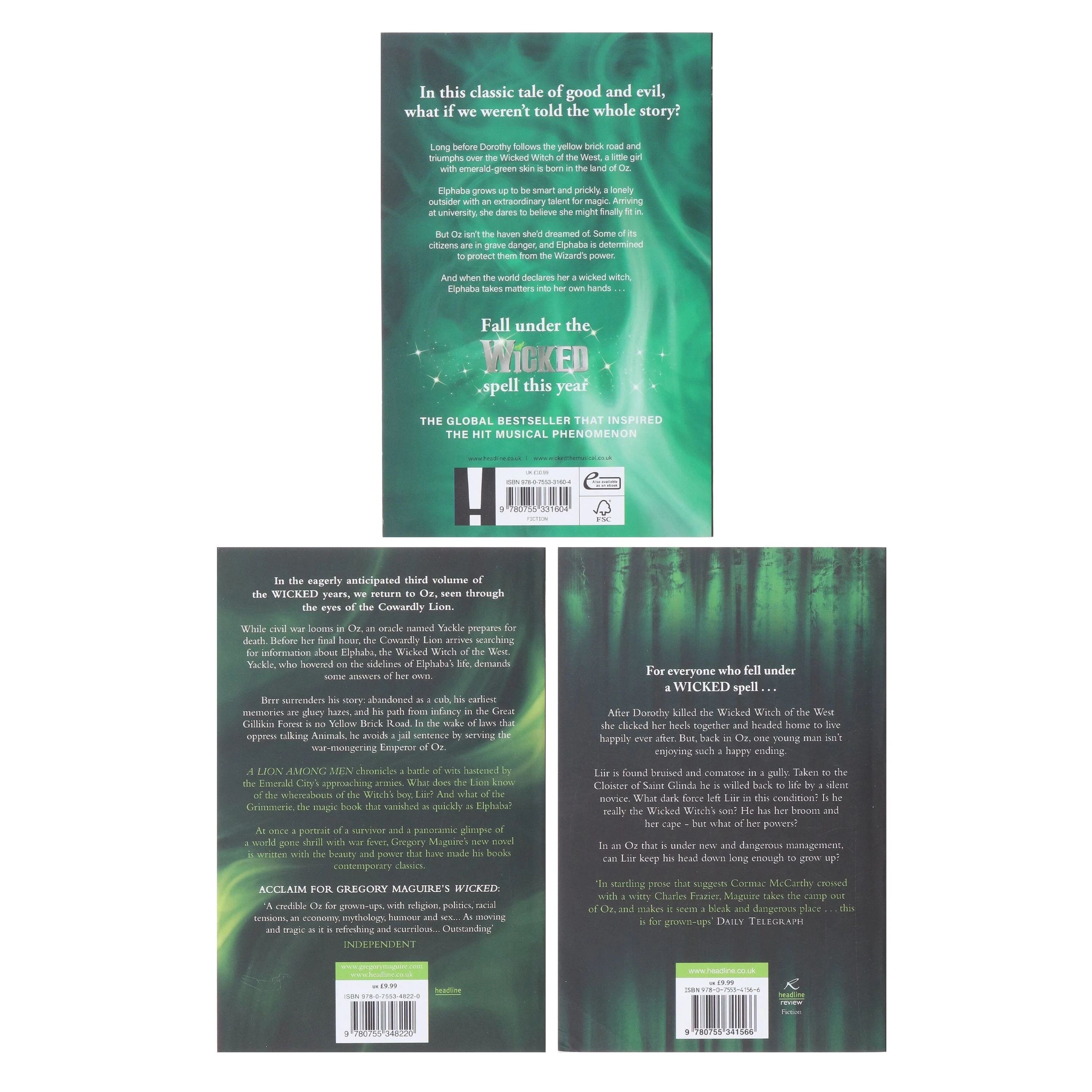 Wicked Years Series by Gregory Maguire 3 Books Collection Set - Fiction - Paperback - Image 3